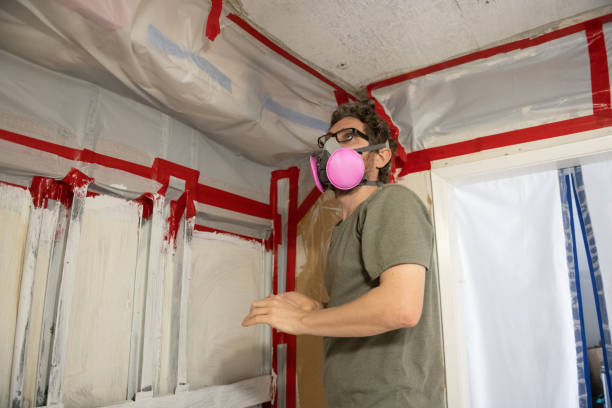 Best Biohazard Mold Removal  in Kent City, MI