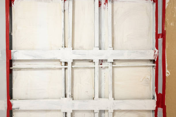 Best Comprehensive Air Testing for Mold Contaminants  in Kent City, MI
