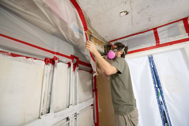 Best Indoor Air Quality Assessment  in Kent City, MI