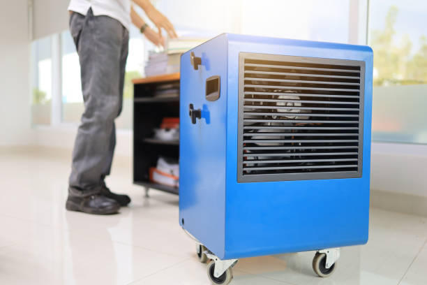 Best Mold Damage Restoration  in Kent City, MI